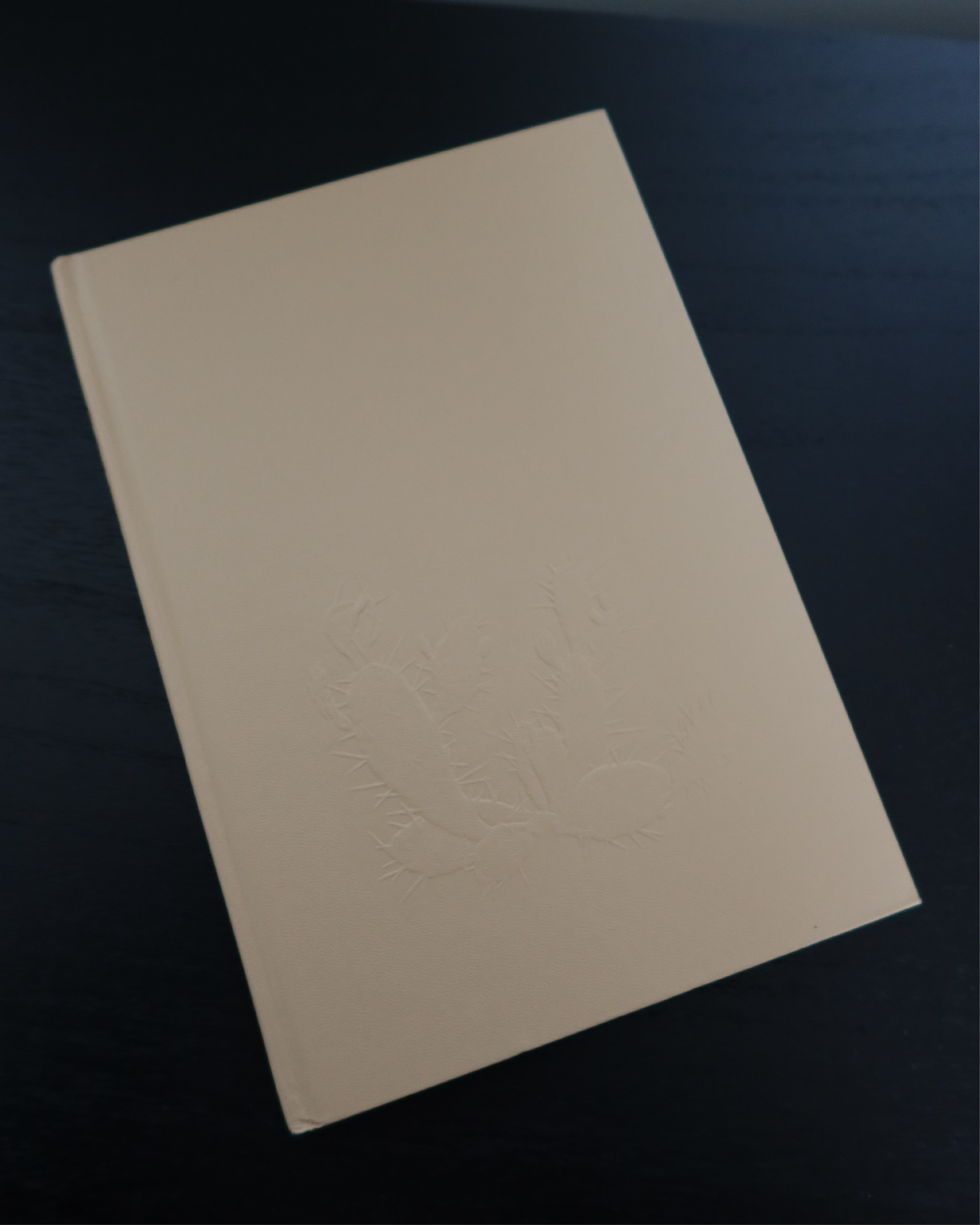 The Great Southwest Book