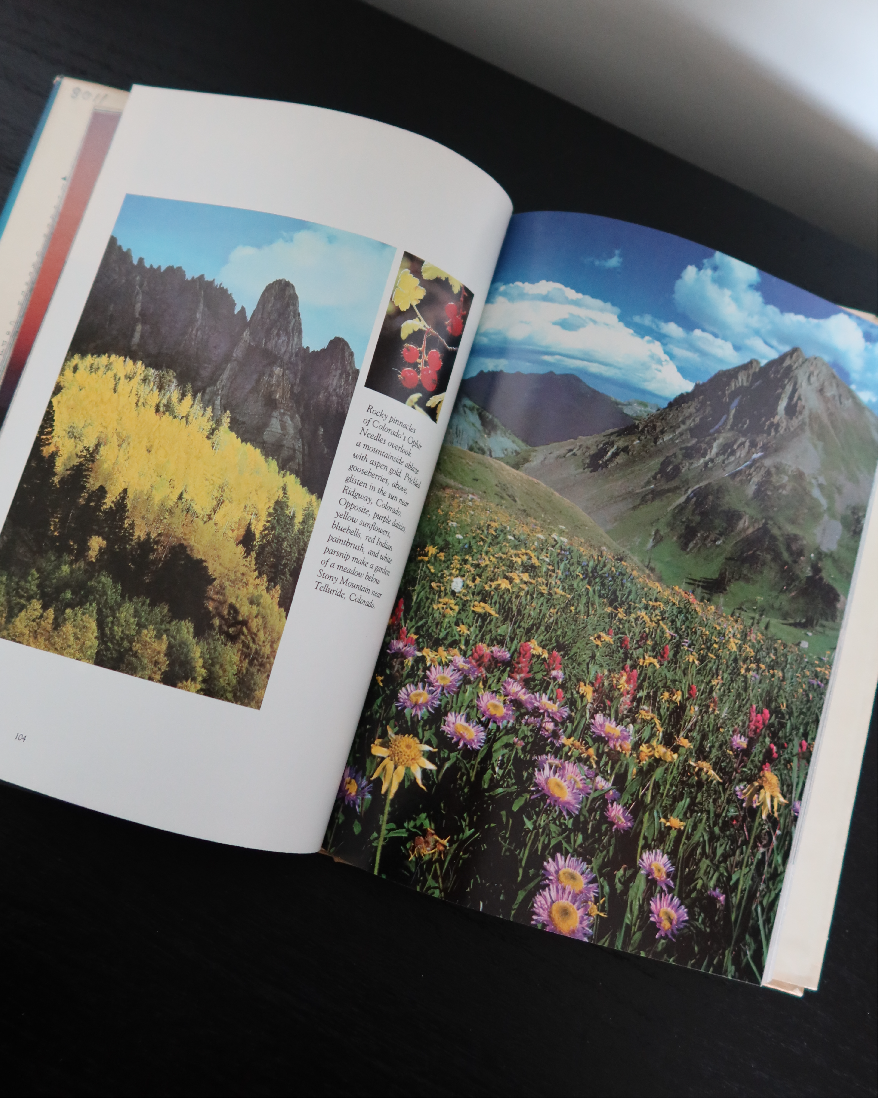 The Great Southwest Book