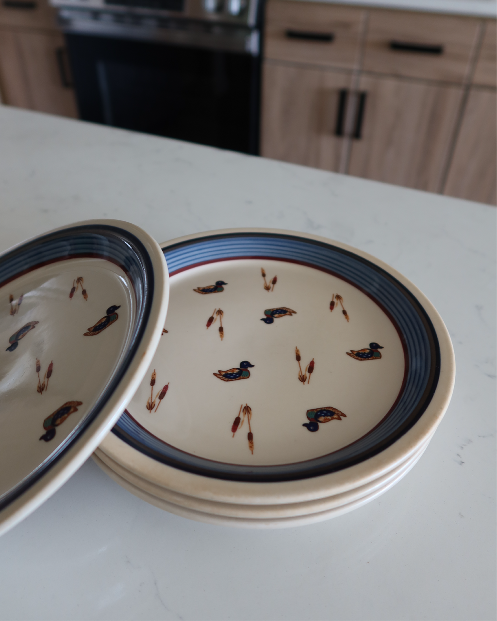 Alder Appetizer Plates, Set of 4