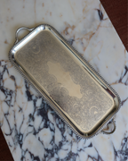 Valeria 22.25" Silver Tray