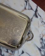 Valeria 22.25" Silver Tray