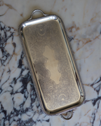 Valeria 22.25" Silver Tray