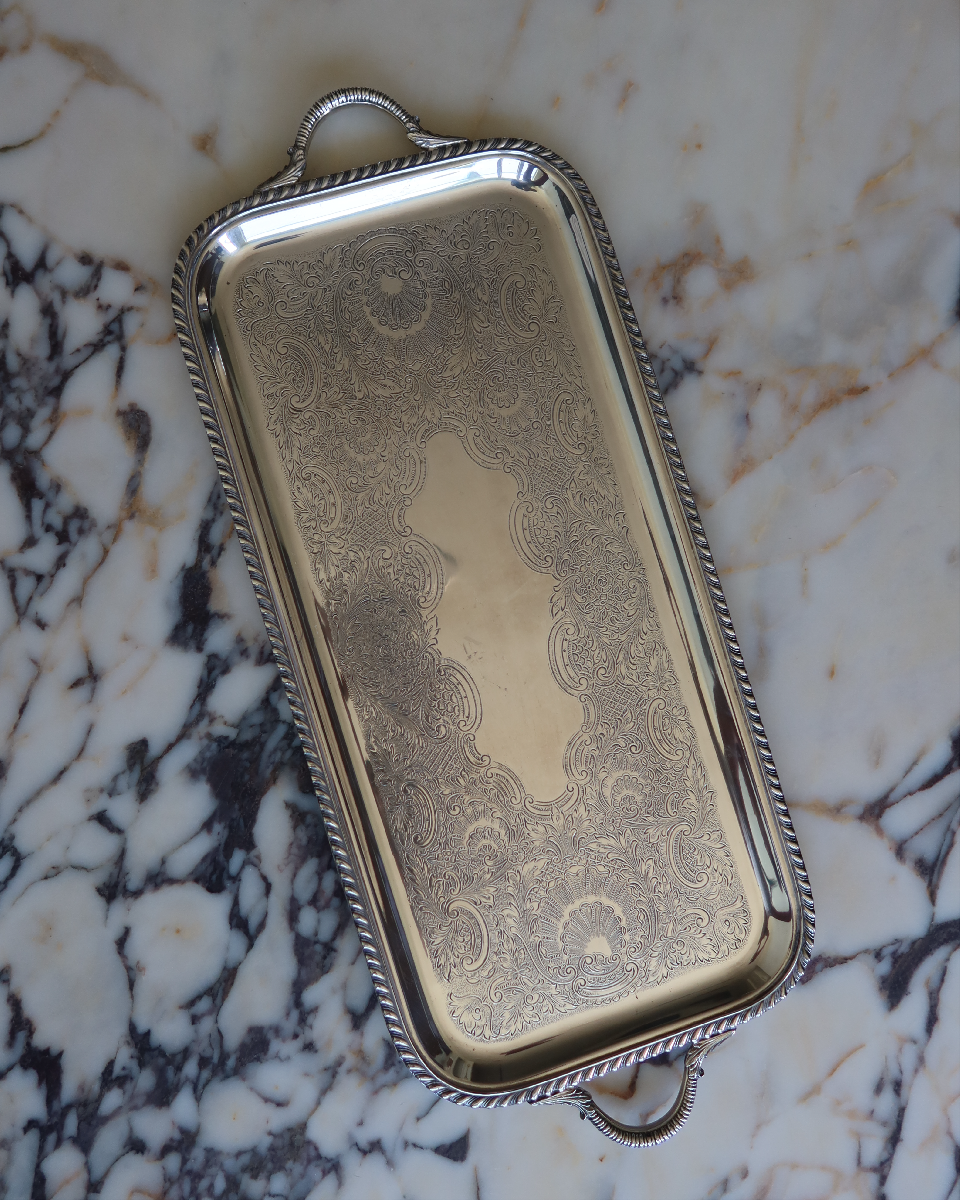 Valeria 22.25" Silver Tray