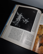 Encyclopedia of Art