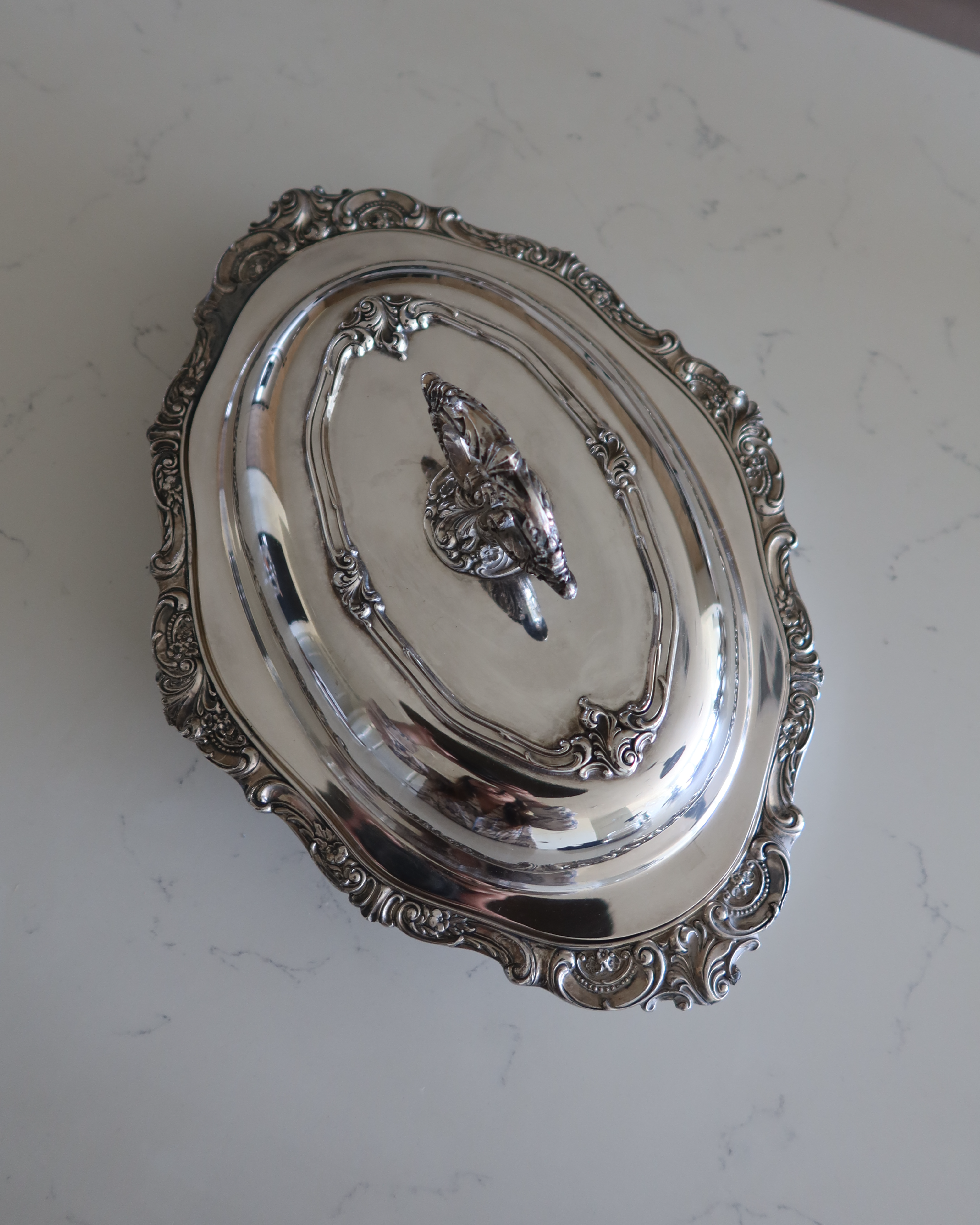 Alessia 13.5" Silver Serving Platter w/ Lid